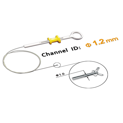 Endoskopik Hos Taip Biopsi Foseps