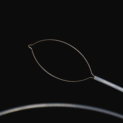 Jaw Taip Foren Bodi Foseps