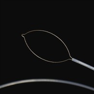 Jaw Taip Foren Bodi Foseps